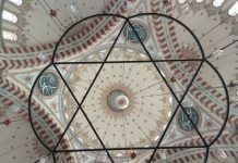 Houses in Harmony with Nature