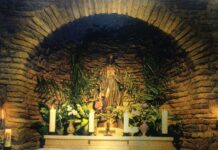 The Bulgarians Character Education and Progress