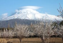 The Bulgarians and Their Land